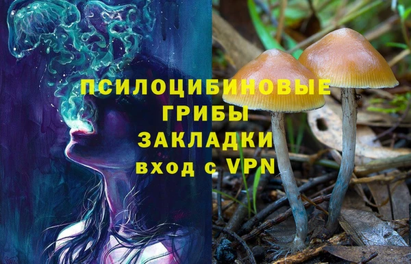 метадон Богородицк