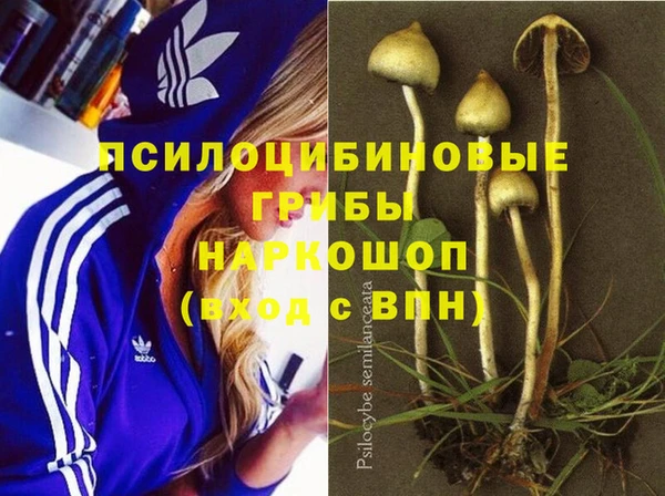 соль курить ск Богданович